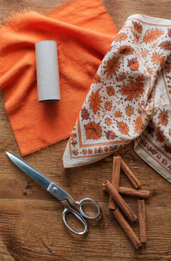 Toilet paper roll, fabric, cinnamon sticks, scissors, and glue.