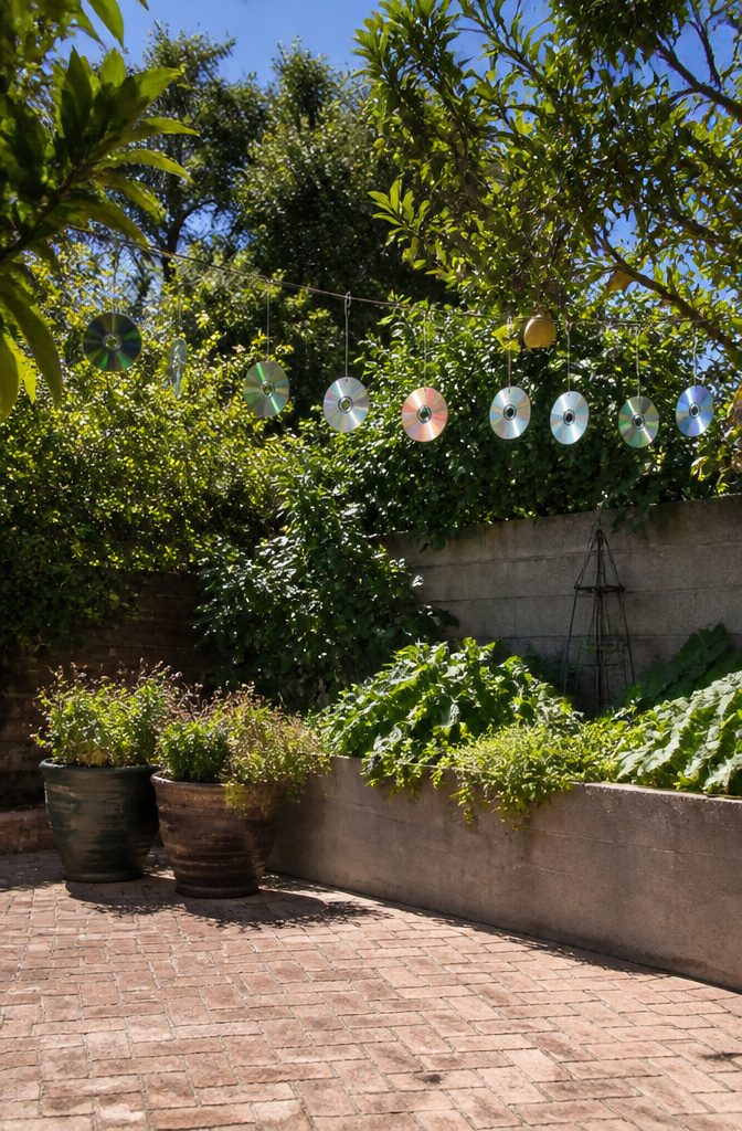 16 DIY with CD Ideas: Easy Upcycled Crafts for Old Discs 10 A line of CDs hanging in a garden, designed to scare birds away.