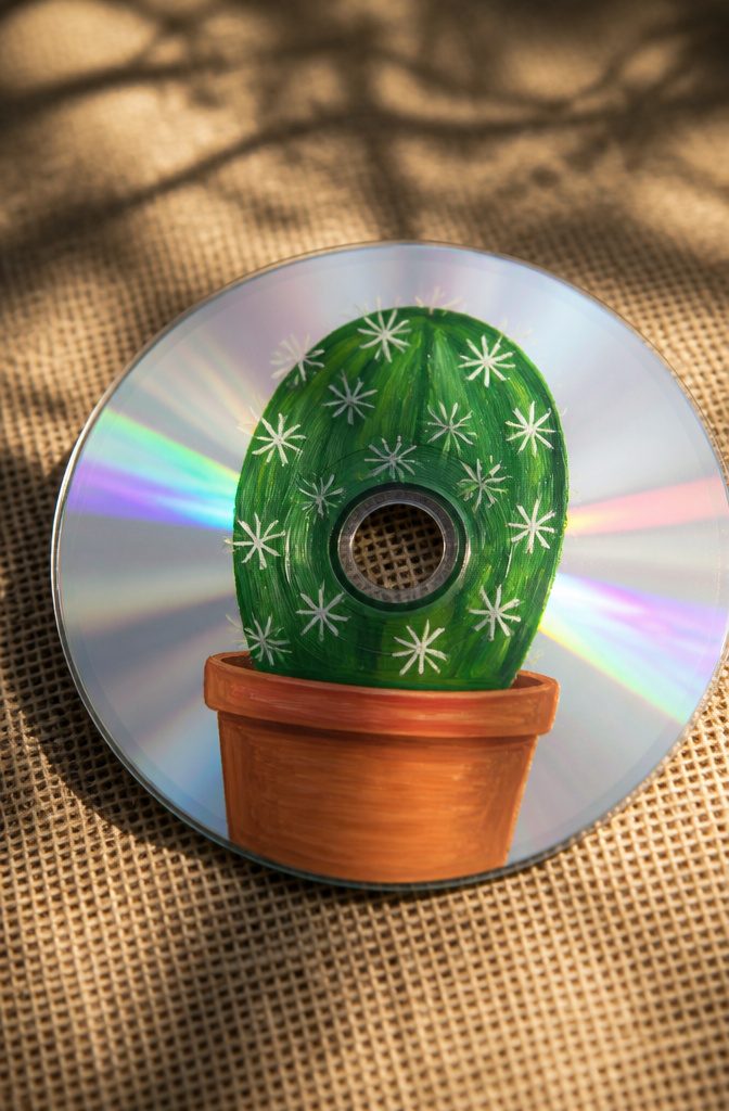A CD featuring a cactus design in green and terracotta.